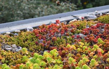 the cost of Kete green roof installation