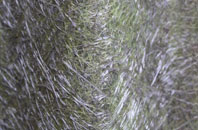 Kete fibreglass roof work